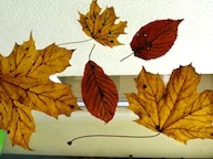 Fall Craft Ideas